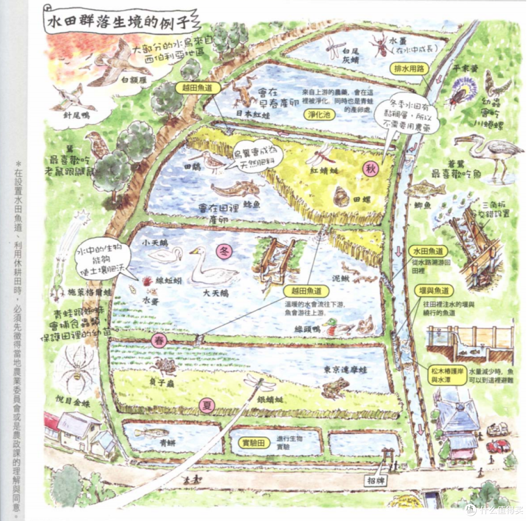 里山生活,都市人的心灵疗愈所~