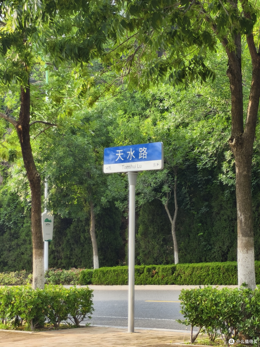 青岛夏日的小众打卡地:世博园