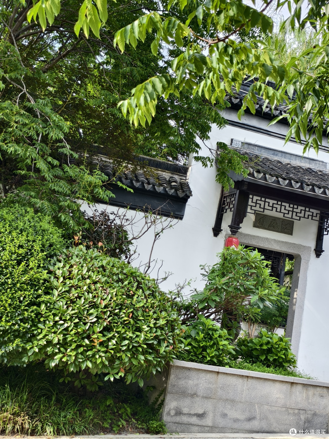 青岛夏日的小众打卡地:世博园