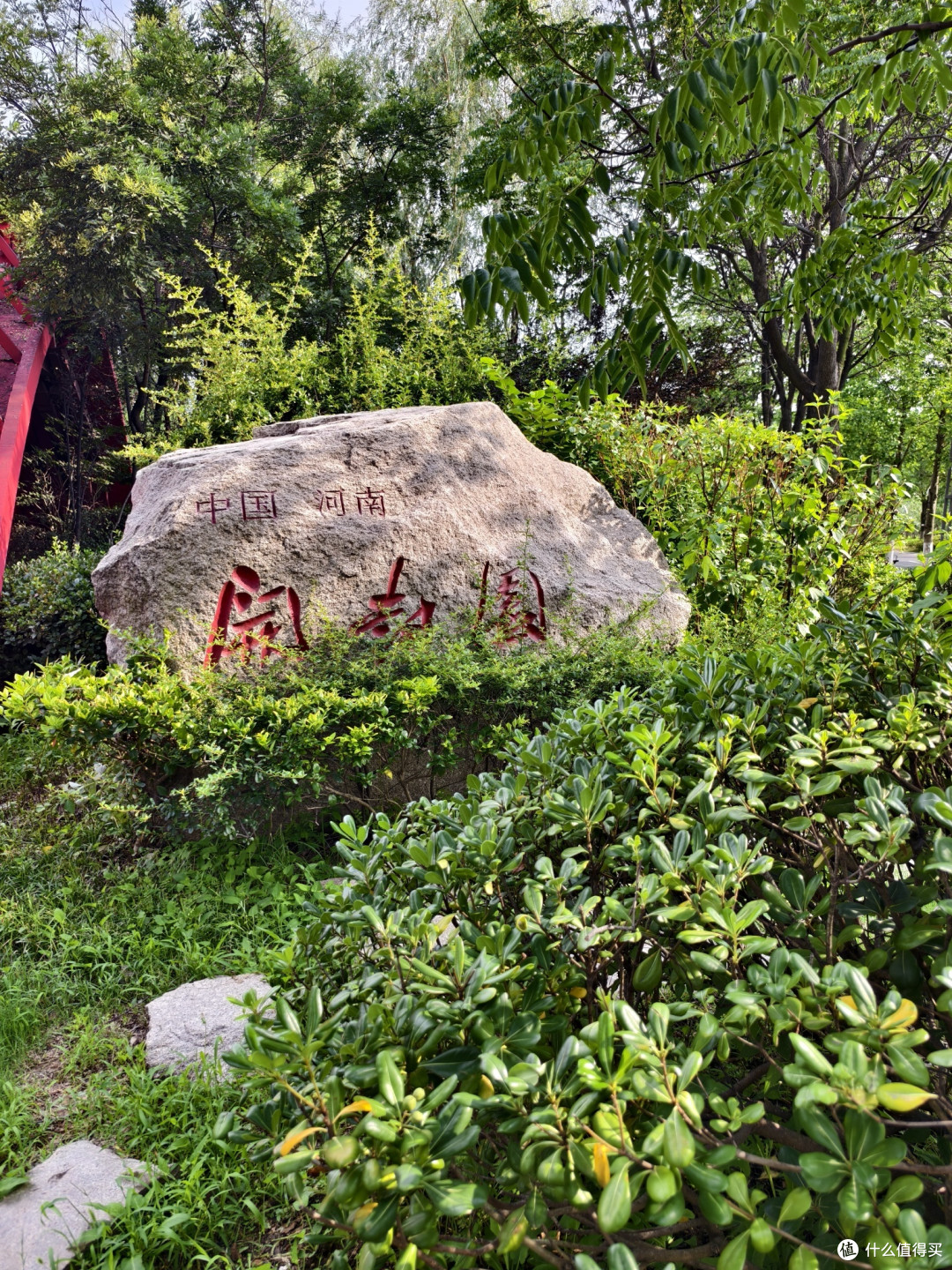 青岛夏日的小众打卡地:世博园