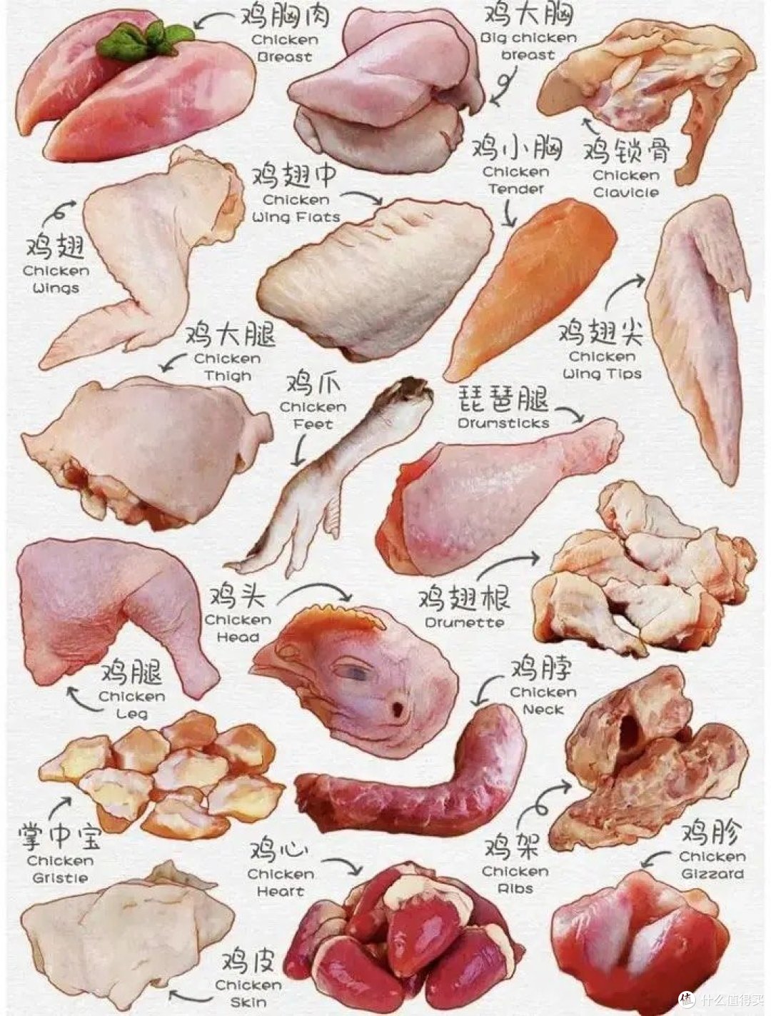 《整鸡与鸡零件价格差异之谜,你知道多少?》