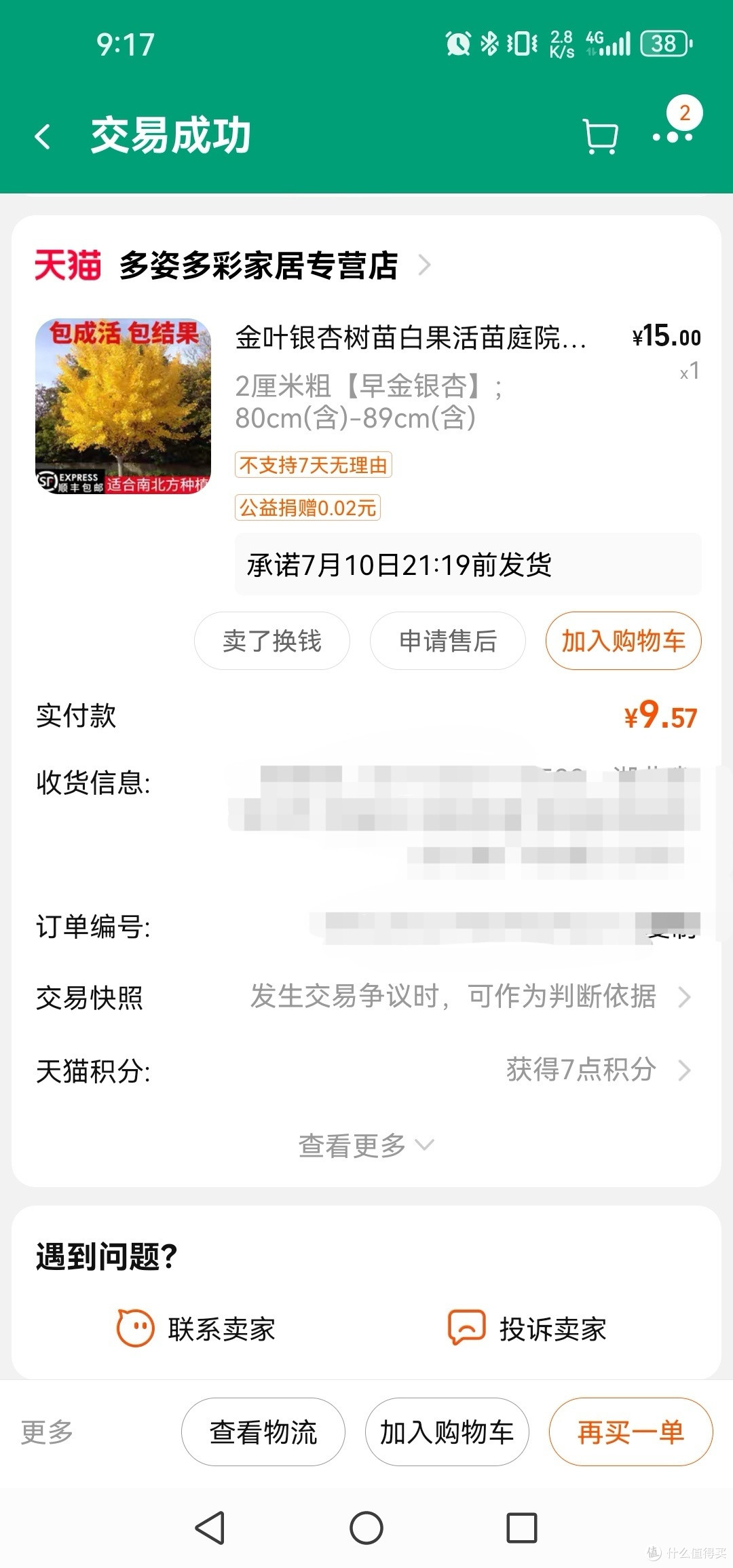 老婆说我有病,这大热的夏天买颗银杏树苗。我也觉得自己热晕了头。