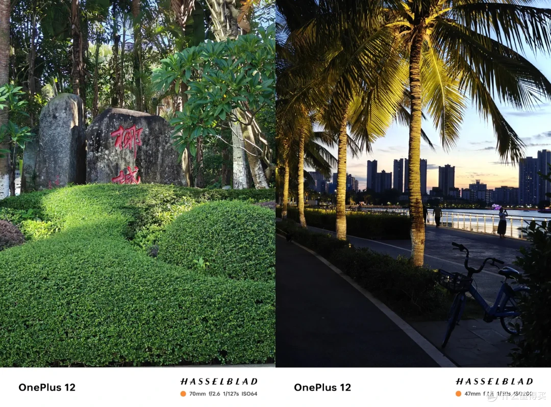 出发海口,是走错方向的暑假旅行吗??
