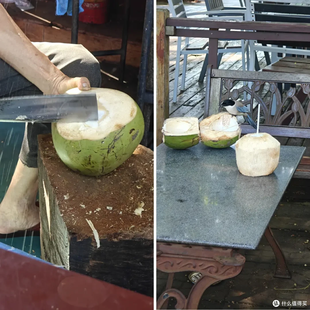 出发海口,是走错方向的暑假旅行吗??