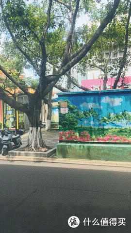 出发海口,是走错方向的暑假旅行吗??