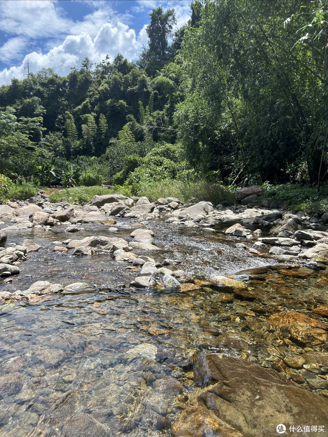 夏日户外溯溪游记