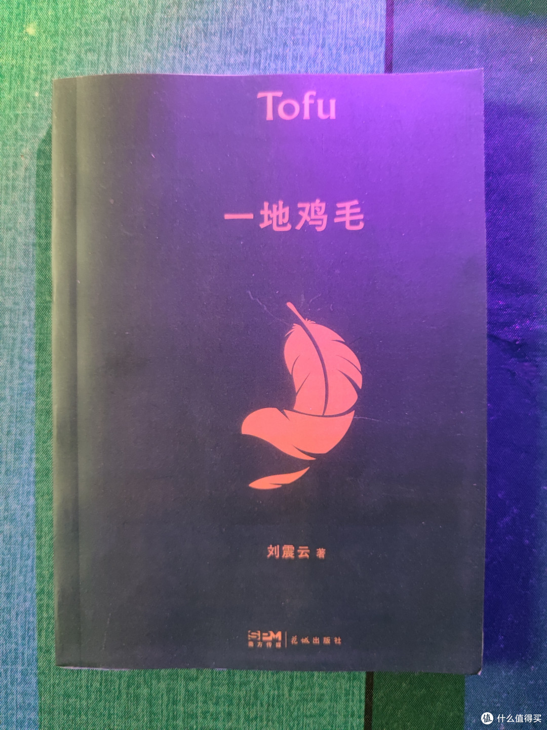 暑期阅读📚:刘震云带你领略《一地鸡毛》的深刻内涵