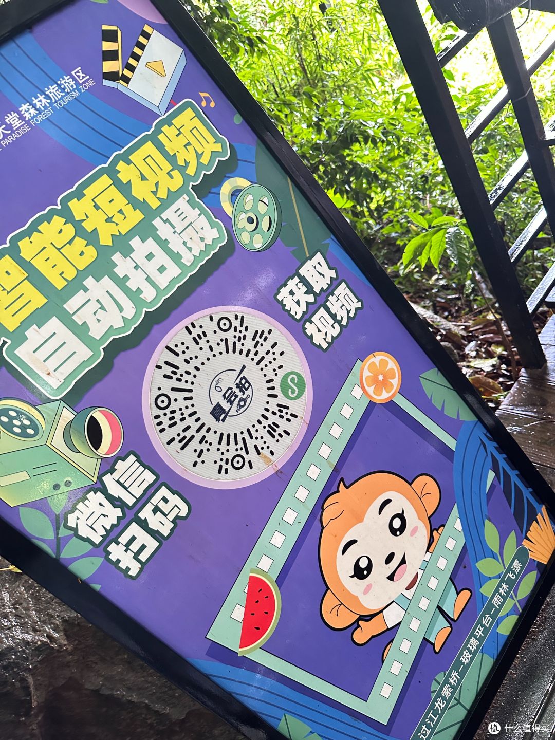 在三亚摆烂真舒服 沉浸式体验5天4晚养生旅行 请收好这份“吃喝玩乐” 全攻略