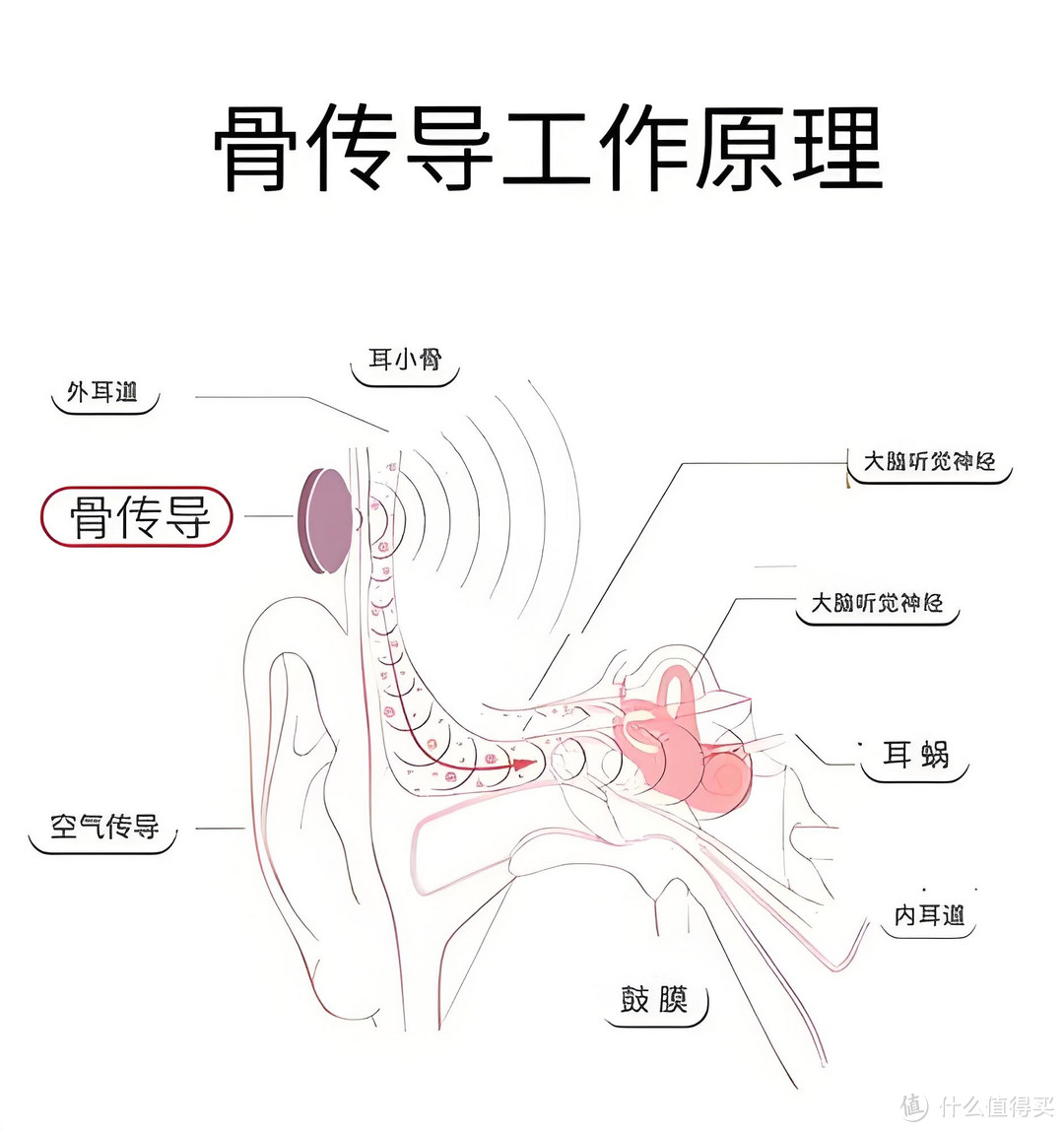 全马跑者推荐，南卡Runner Pro5，跑步必备，骨传导音质天花板，潜艇级防水技术，值得入手