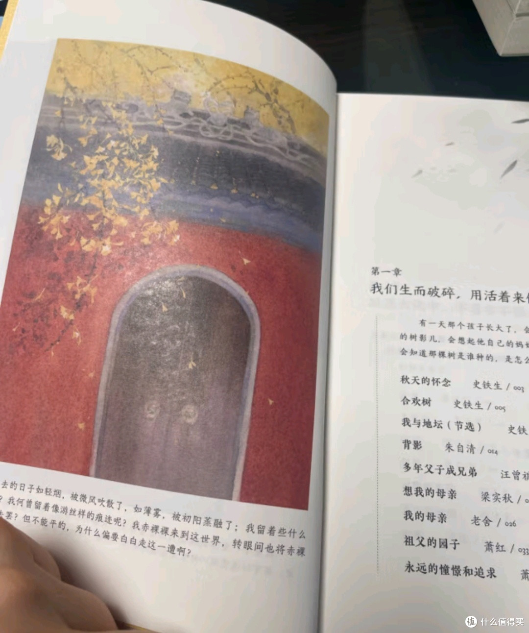 聆听风语，感悟人间——独行者的生命之书
