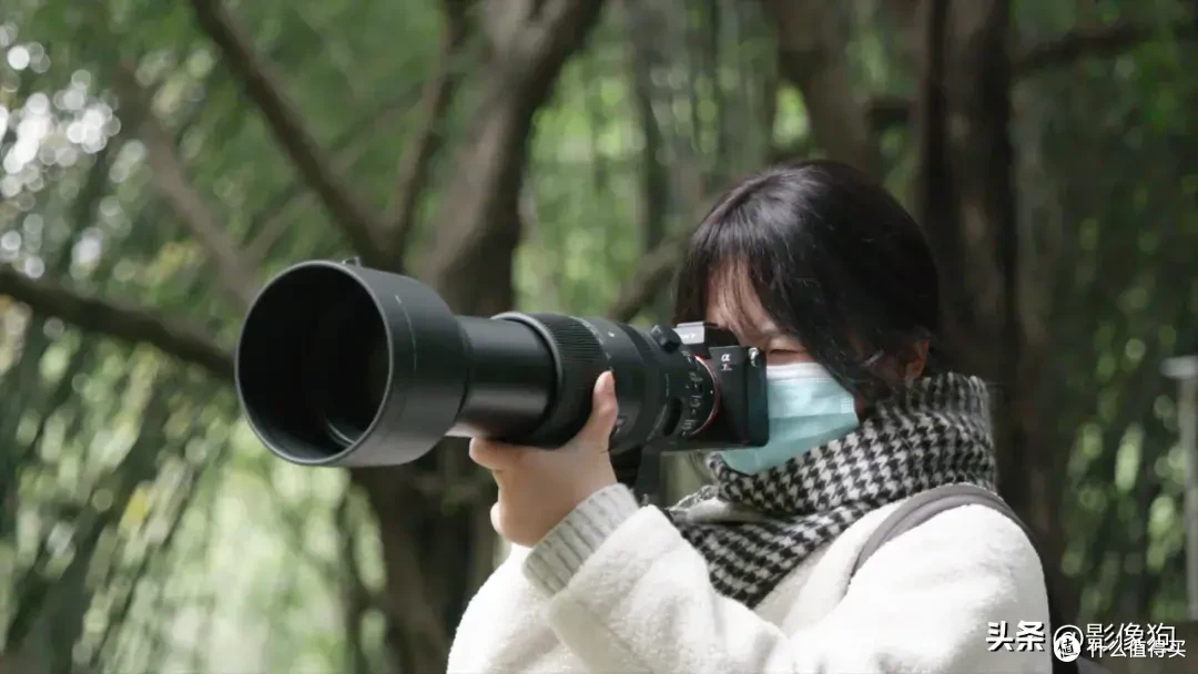 适马长焦镜头大盘点