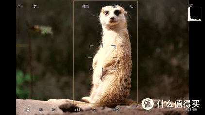 适马长焦镜头大盘点