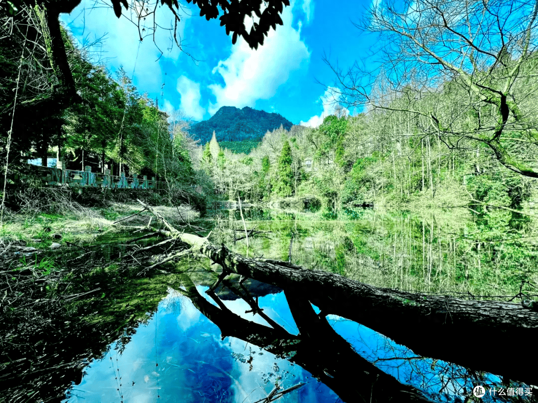 炎炎夏日快来向天目山的清凉王国借点能量