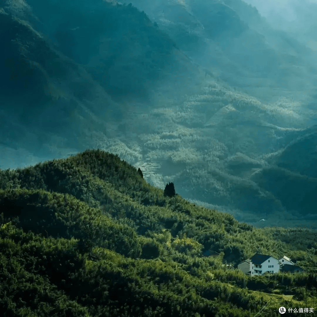 炎炎夏日快来向天目山的清凉王国借点能量