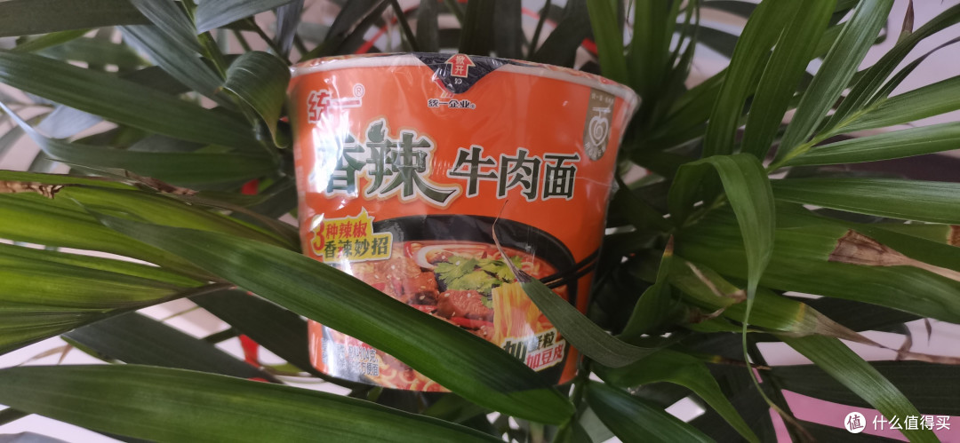 观赛必备食品—方便面