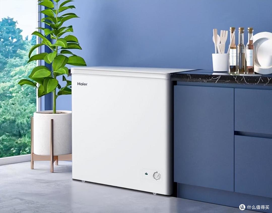 冰柜哪个品牌耐用质量好又实惠？2024内行人最建议买这三款：性价比高，口碑公认