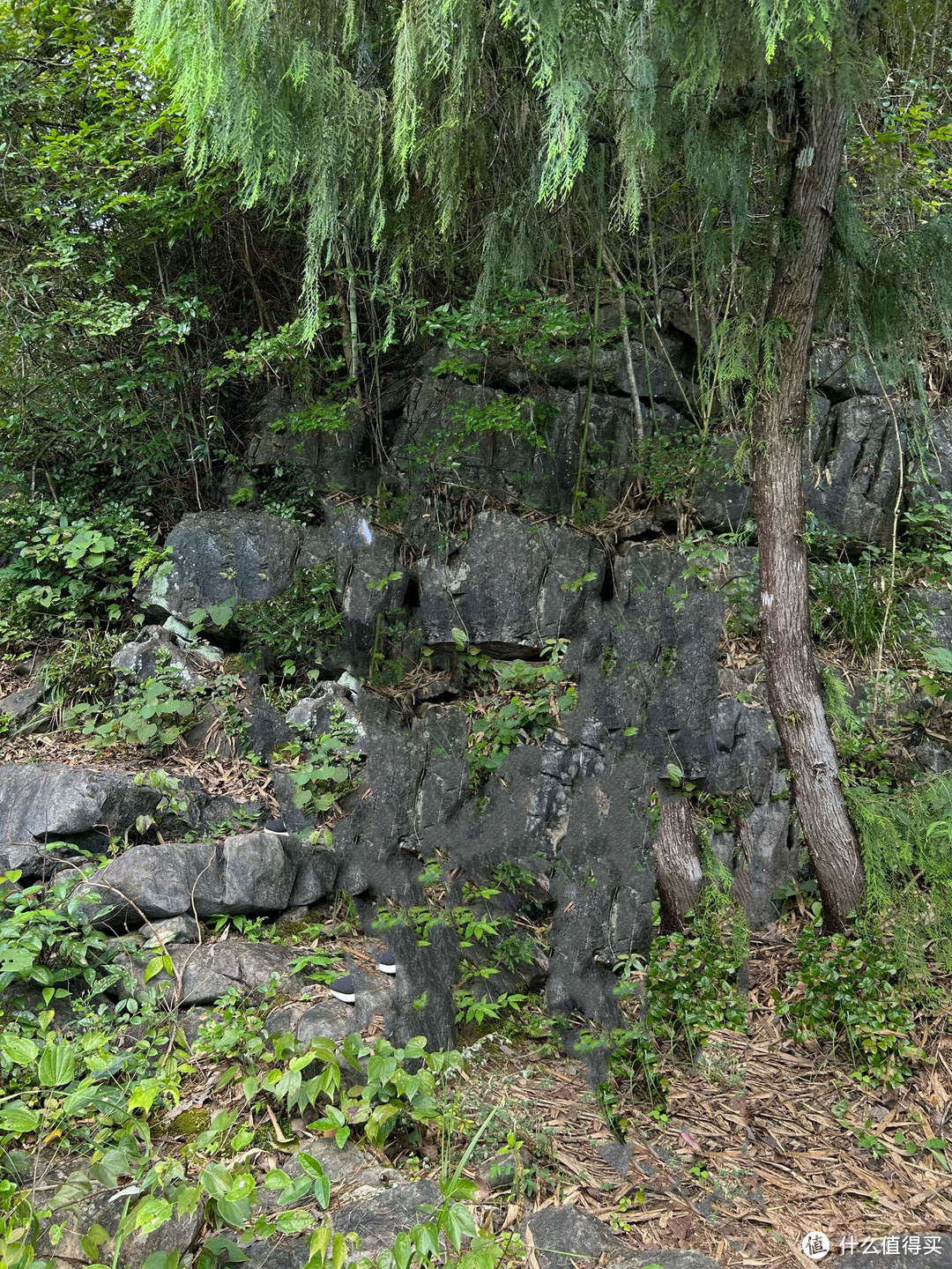 动起来，跟我爬山去