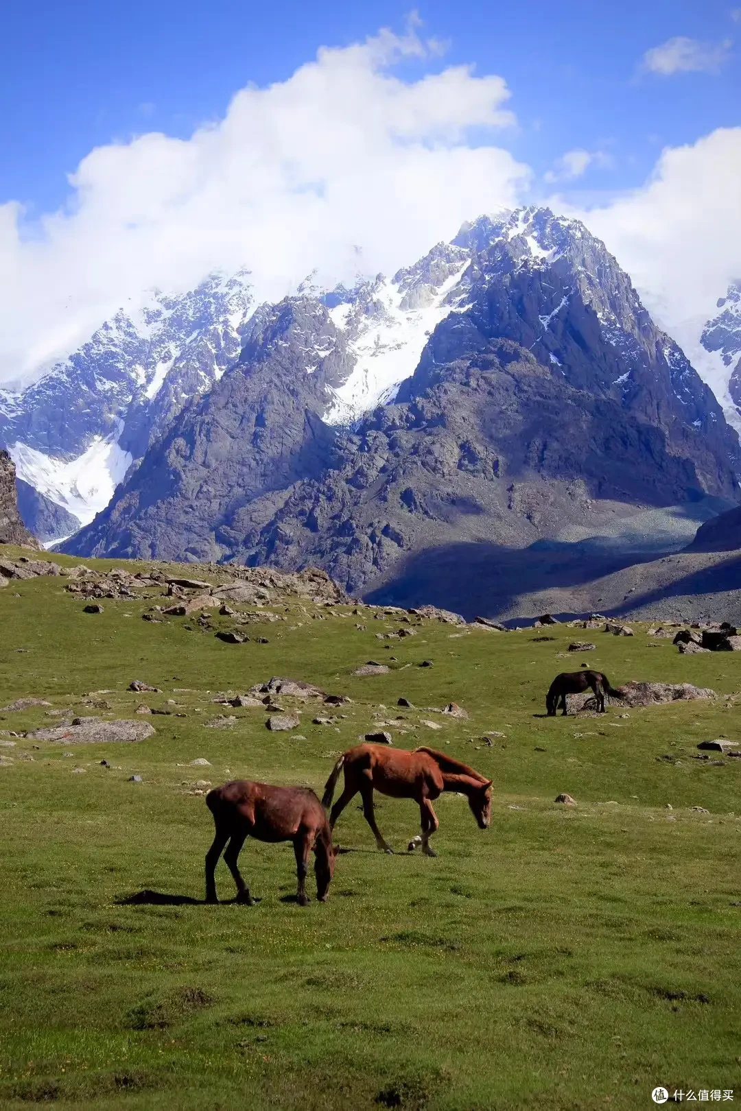 入坑SONY A7M4后还需什么配件？12款相机配件清单推荐