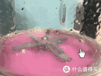 破壁机怎么选?好用的0涂层蒸汽破壁机,终于被我找到了!蓝宝0涂层蒸汽破壁机使用测评