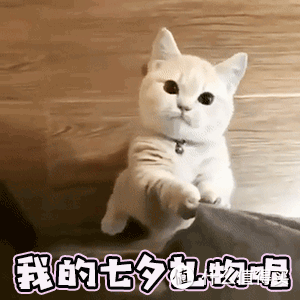 跑男们,七夕节想收到心仪礼物?快让媳妇看看这篇跑鞋购买攻略吧!