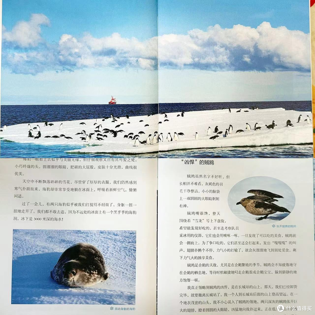 |有生之年,一定要去一次南极或者北极、亲眼感受世界尽头的壮美~|
