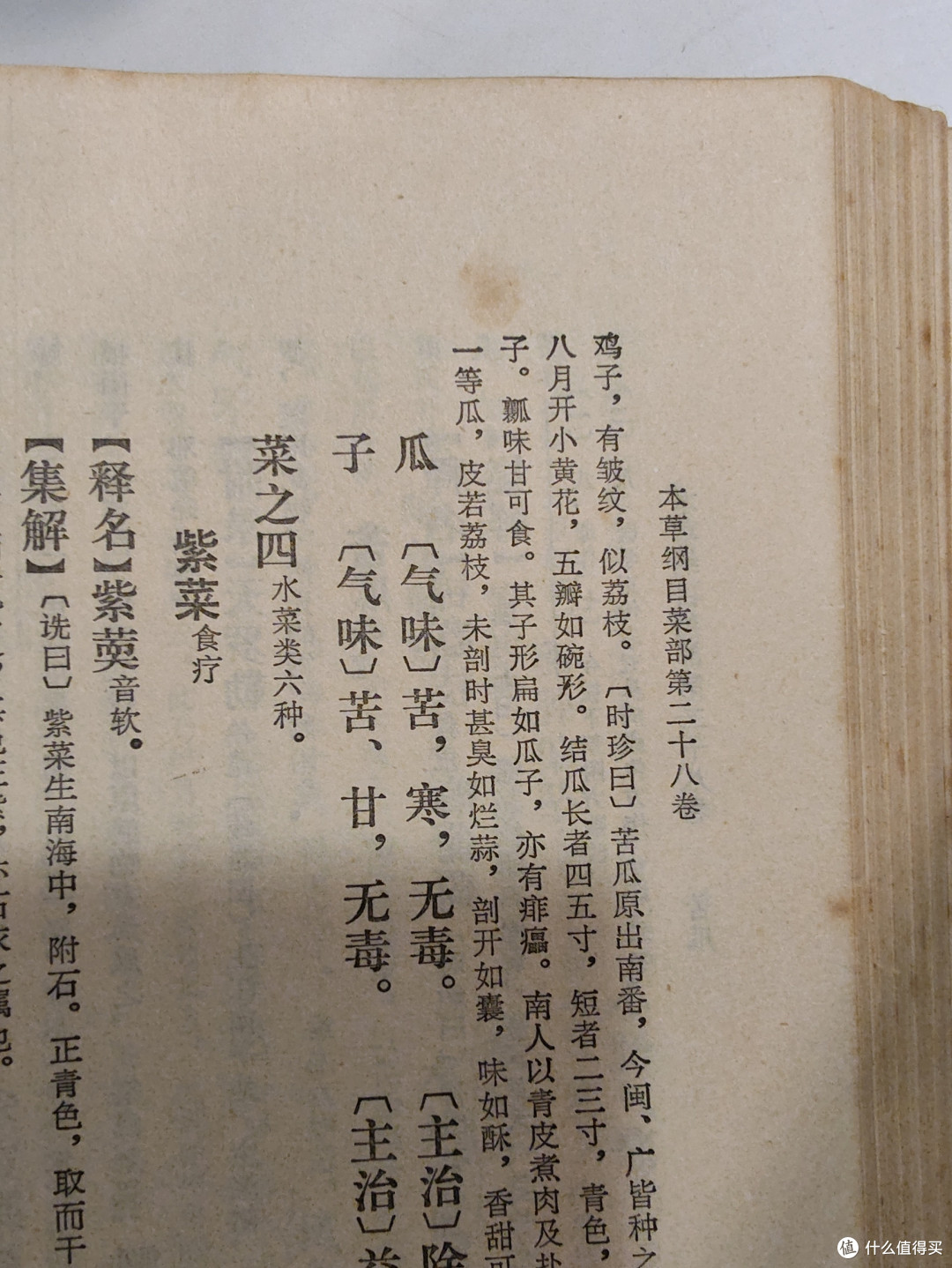 夏季吃苦瓜真有那么好吗? 研究苦瓜