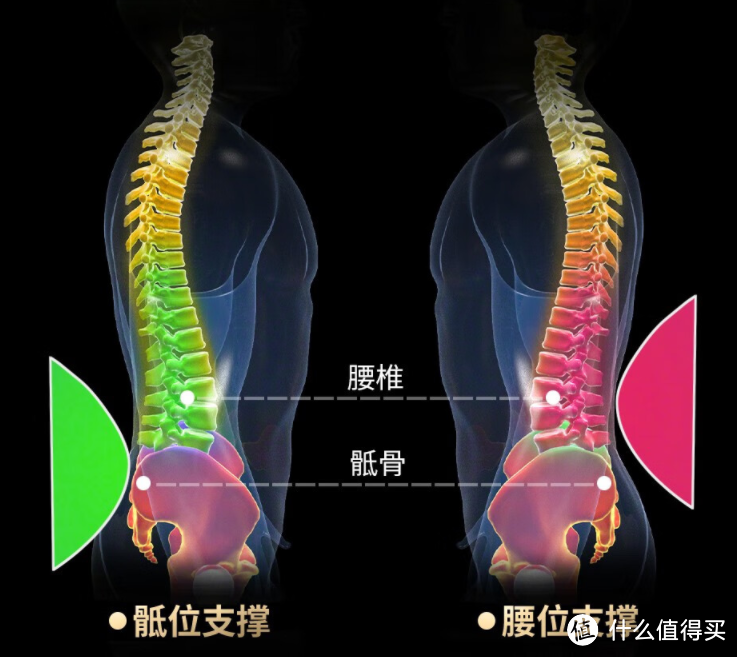 小身材的人体工学椅选购攻略-告别背痛，小身材也有大舒适，实测恋树玲珑：5款小尺寸人体工学椅横评对比