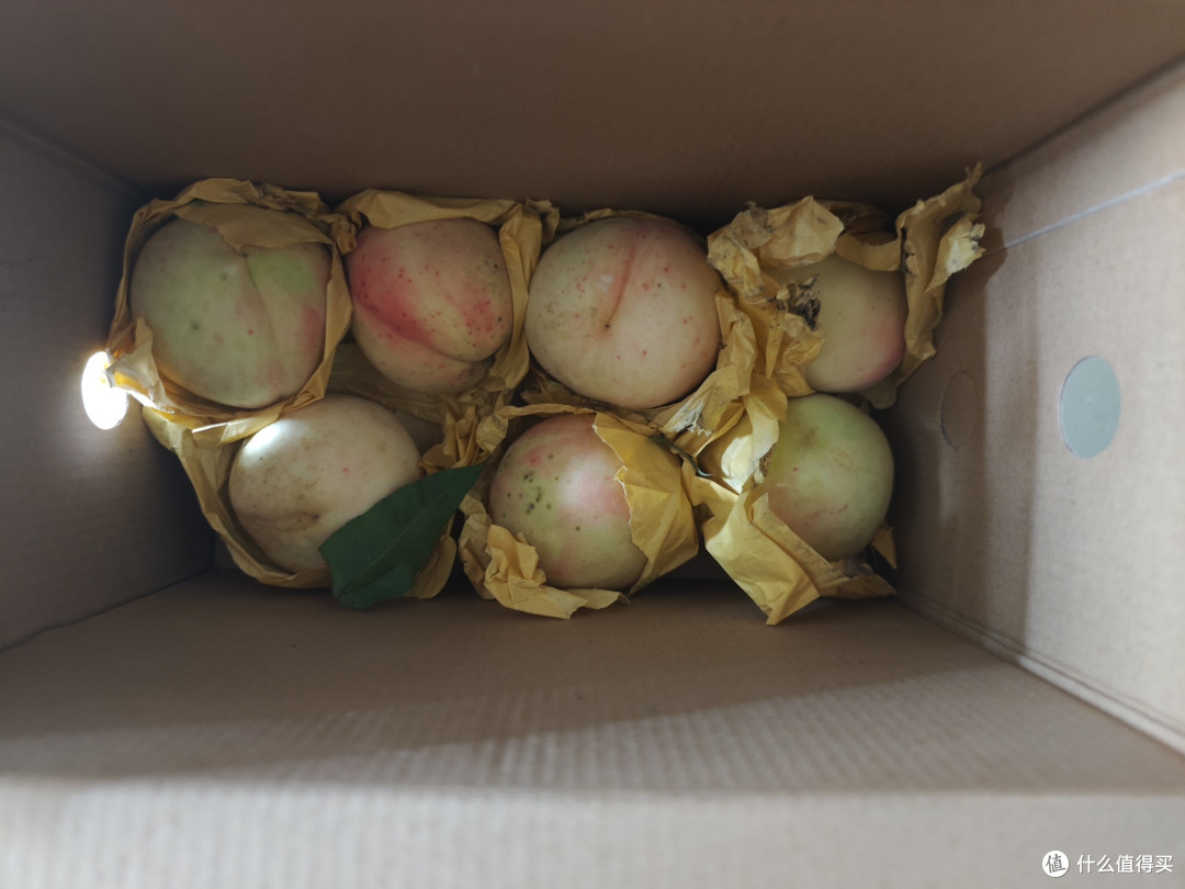 又到了吃桃子的时节,你们也有吃吗?
