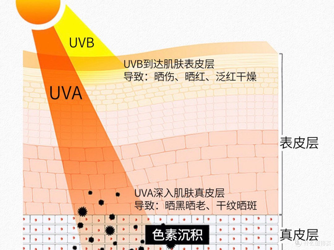 UVA、UVB.SPF和PA到底是何物?_防晒隔离_什么值得买
