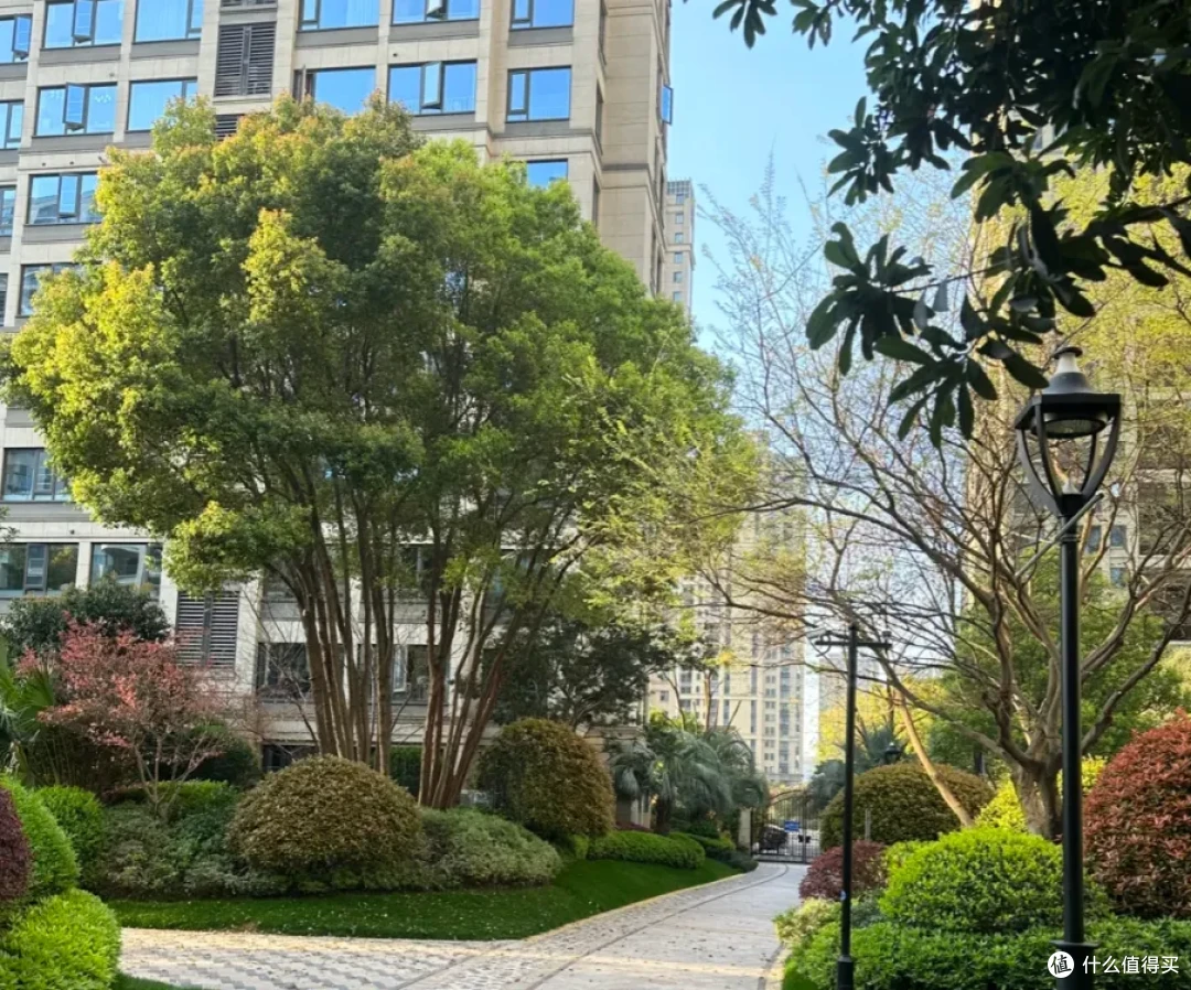 有一种痛苦叫“宁空不租”,住不上又卖不掉,彻底沦为不动产