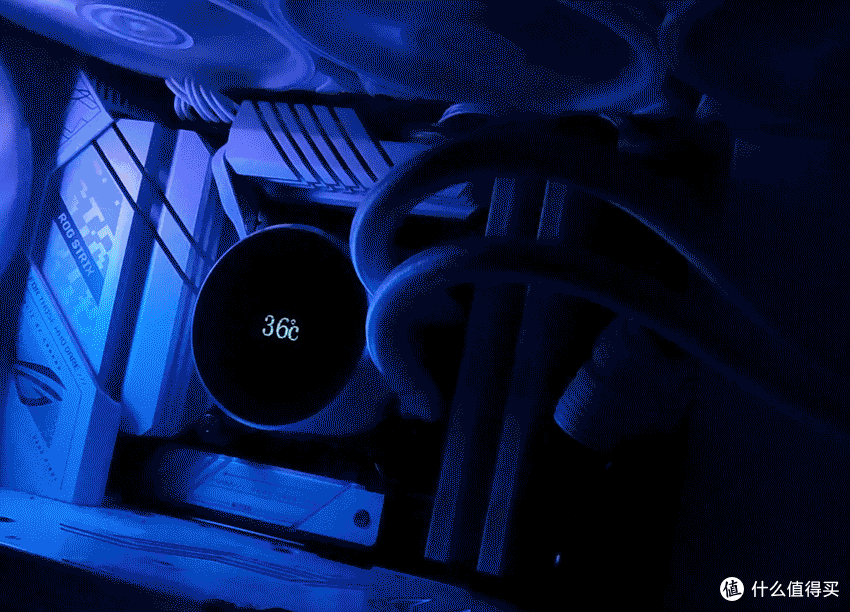 高颜值、高性能、高性价比，还支持手动超频！——金百达（KINGBANK）白刃 RGB DDR5 6800MHz