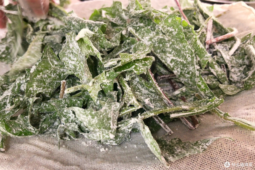 “三伏吃一草，去火又消暑”，“一草”指的是啥？大热天正当吃