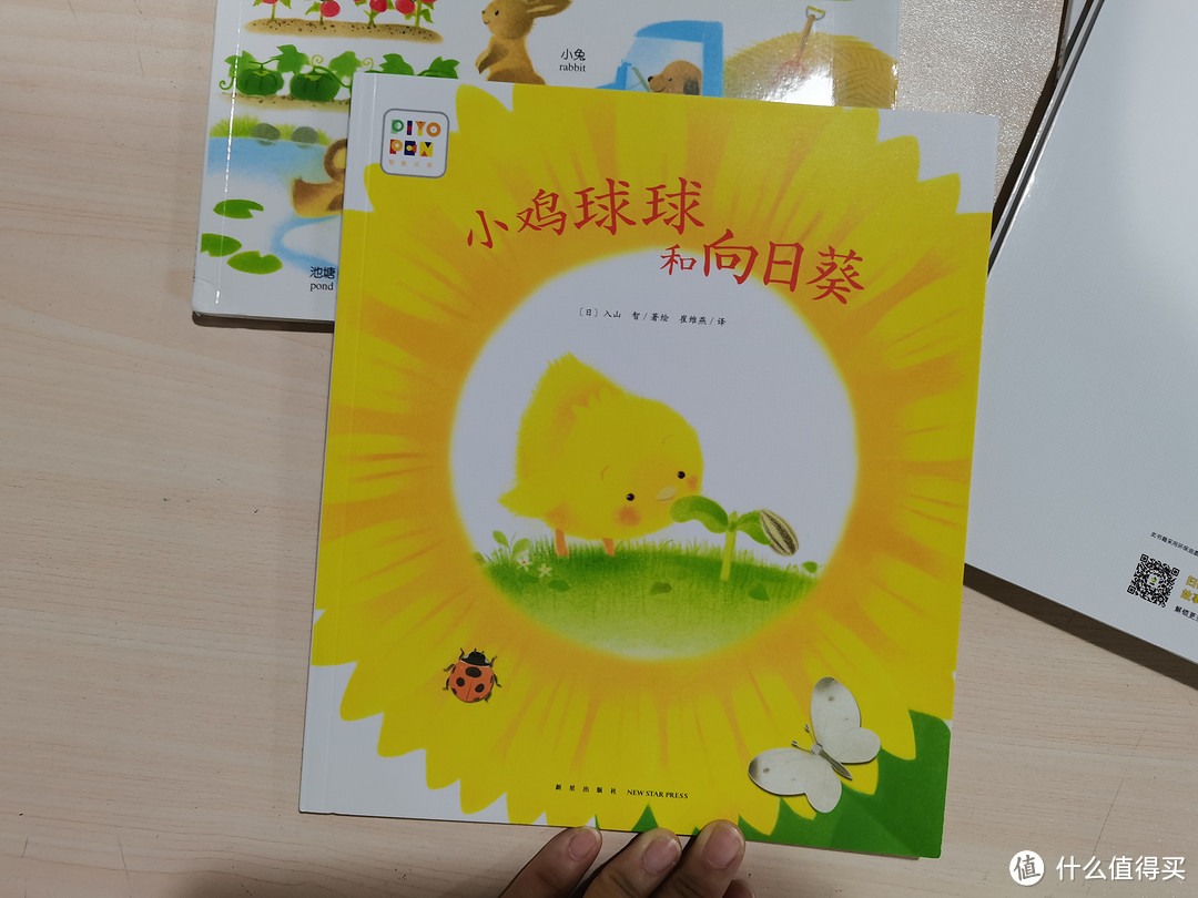 低幼小朋友的读物，小鸡球球