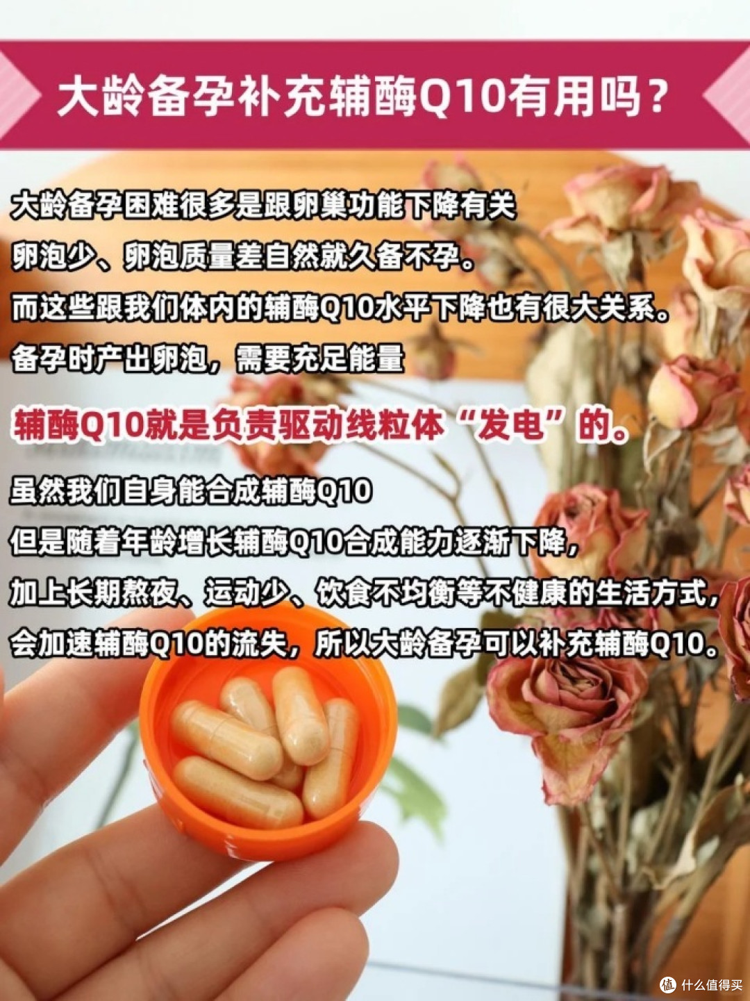 全干货!大龄备孕补充辅酶Q10有没有用?