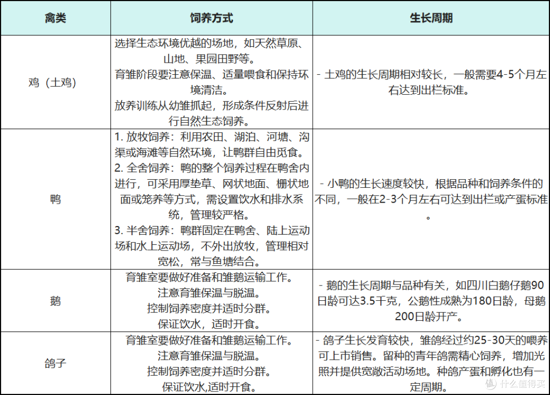 深度剖析:鸡鸭鹅、鸵鸟、鹌鹑、火鸡,哪种禽类让中国人欲罢不能?