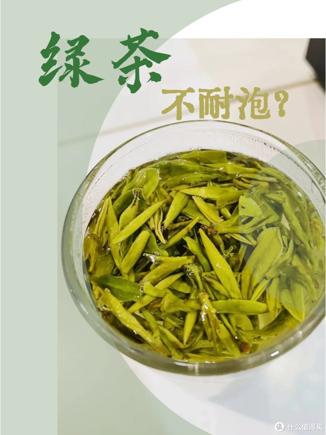 四川茶博会 茶知识：为什么绿茶不耐泡？