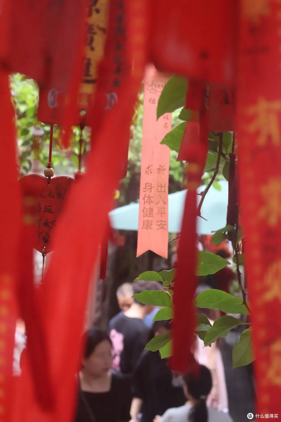 跟风入手佳能R50,我后悔了?