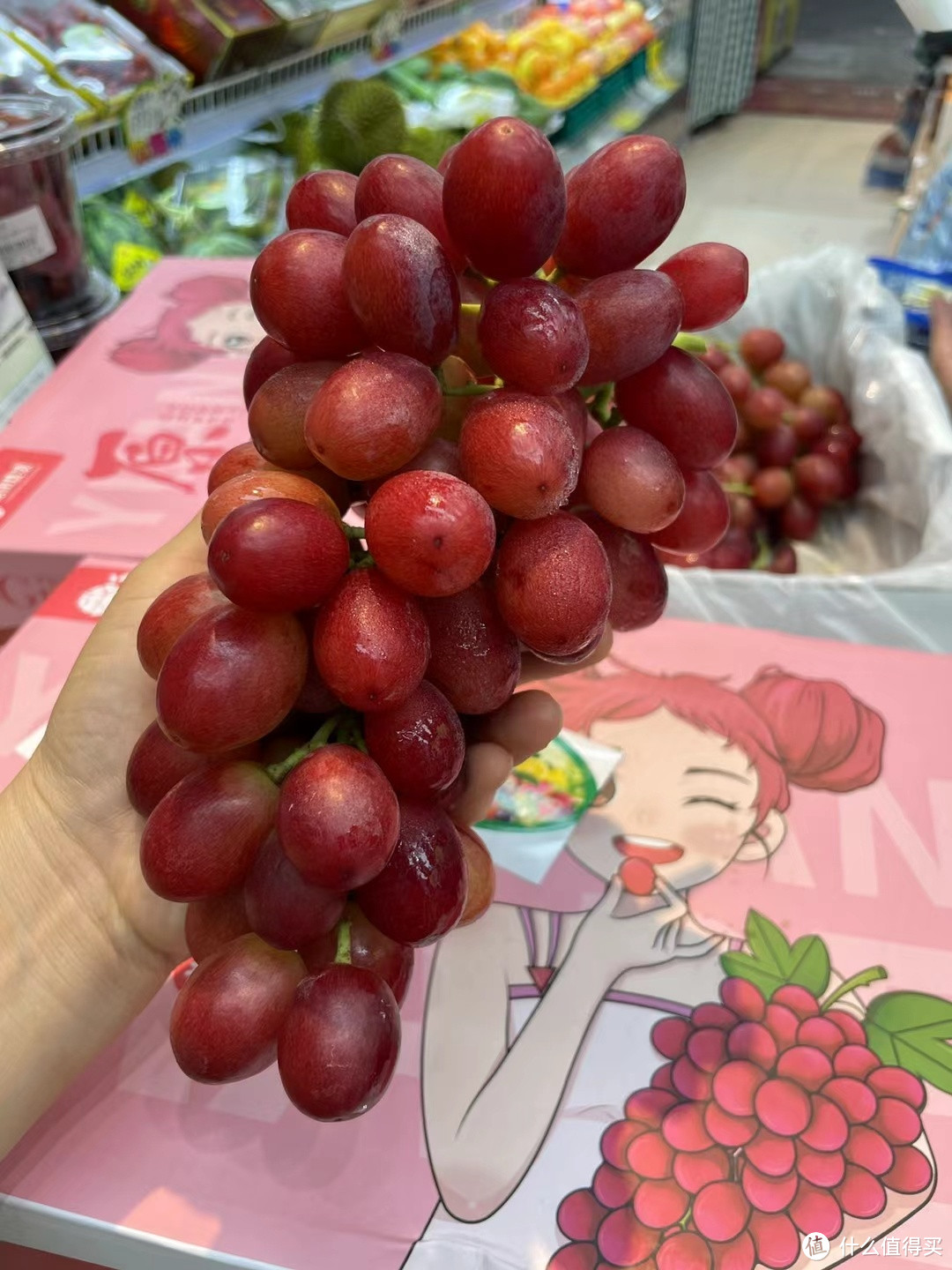 我的夏日食光。今天吃点啥水果呢？