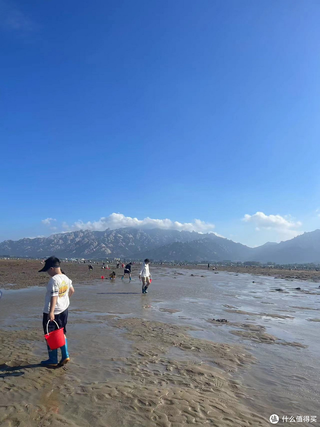 亲子时光，崂山赶海园挖蛏子，共享海洋的奇妙之旅