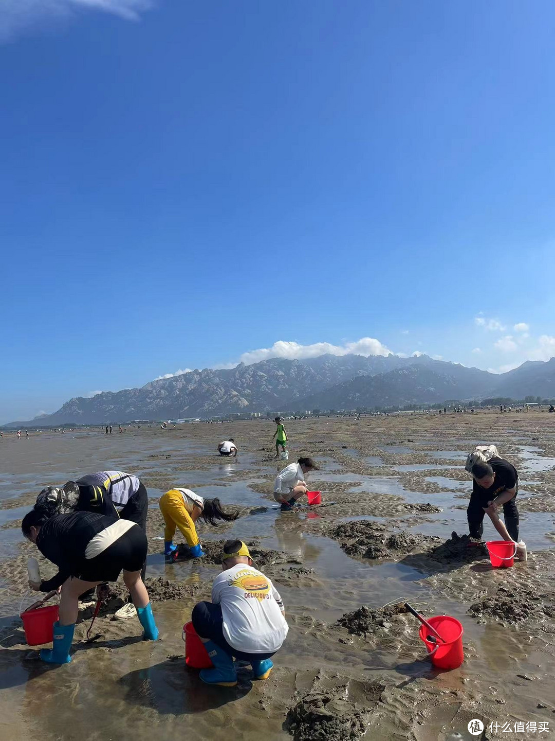 亲子时光，崂山赶海园挖蛏子，共享海洋的奇妙之旅