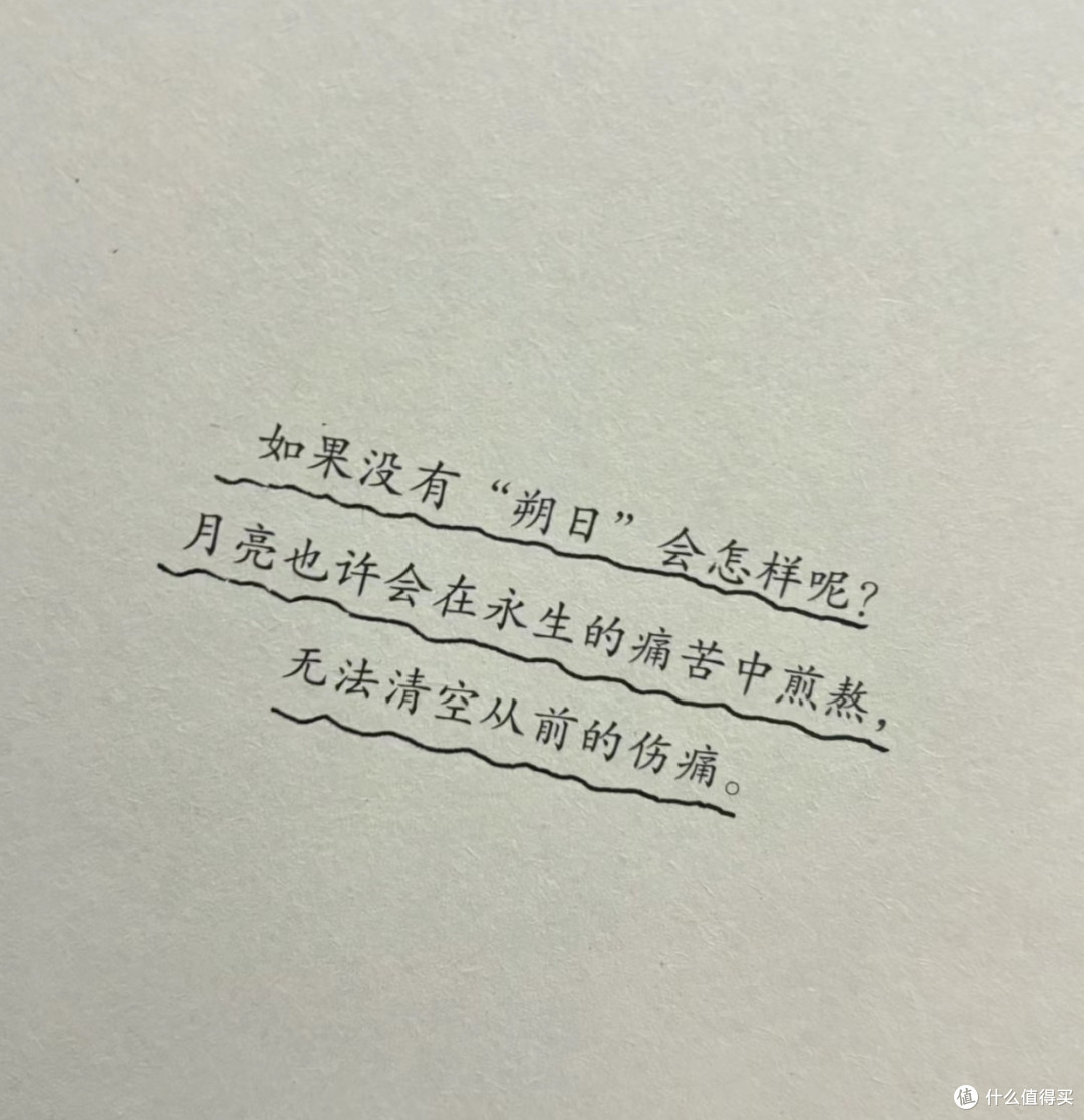 这本书治愈了我的疲惫和焦虑!