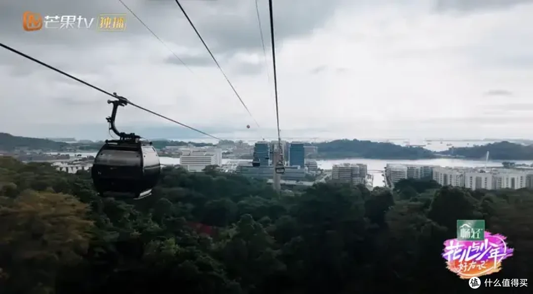 跟着「花少」狂刷新加坡,总算是把狮城玩明白了!