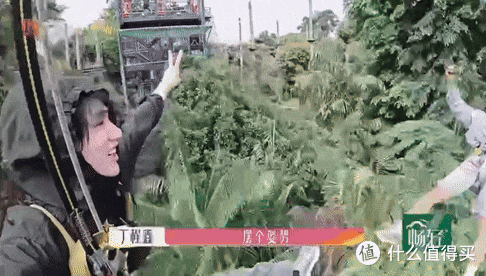 跟着「花少」狂刷新加坡,总算是把狮城玩明白了!