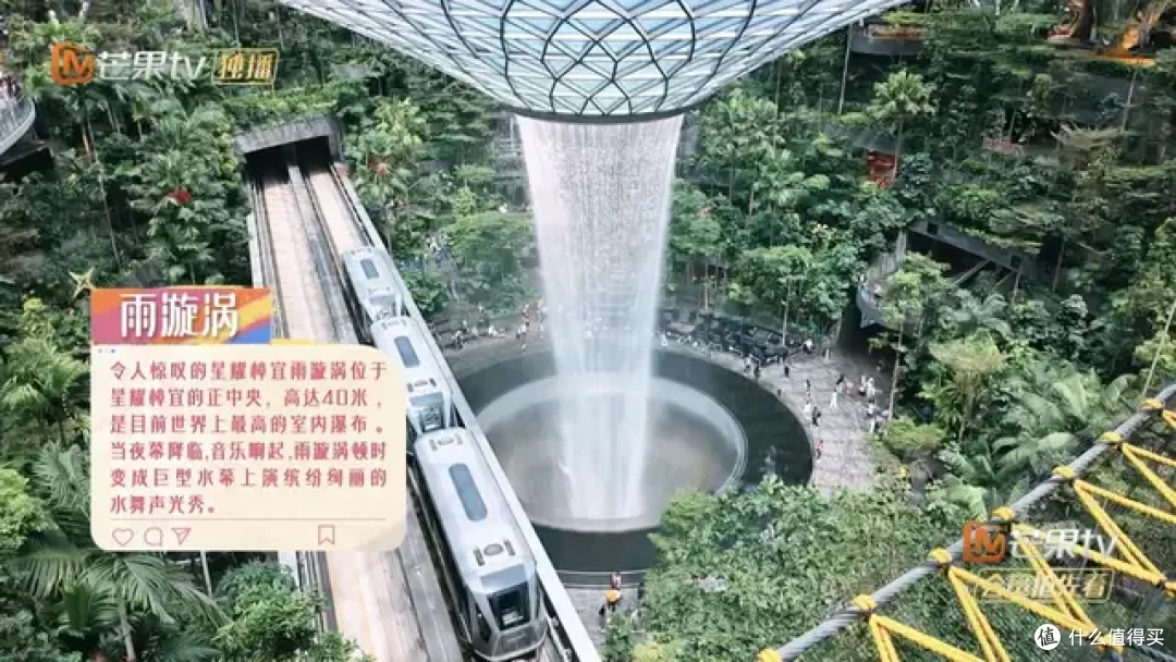 跟着「花少」狂刷新加坡,总算是把狮城玩明白了!