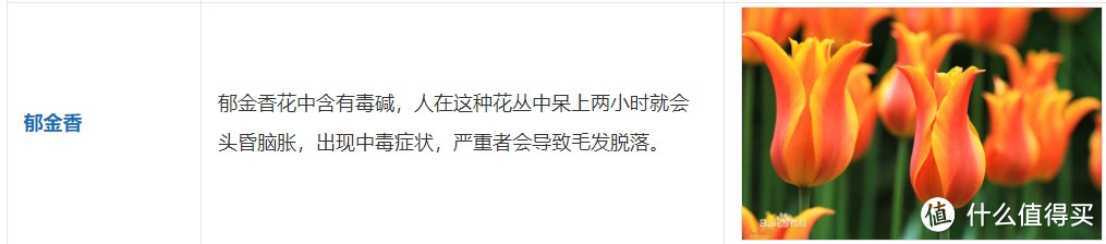 睡觉的房间，不建议放这2样东西，影响睡眠质量，也不够安全