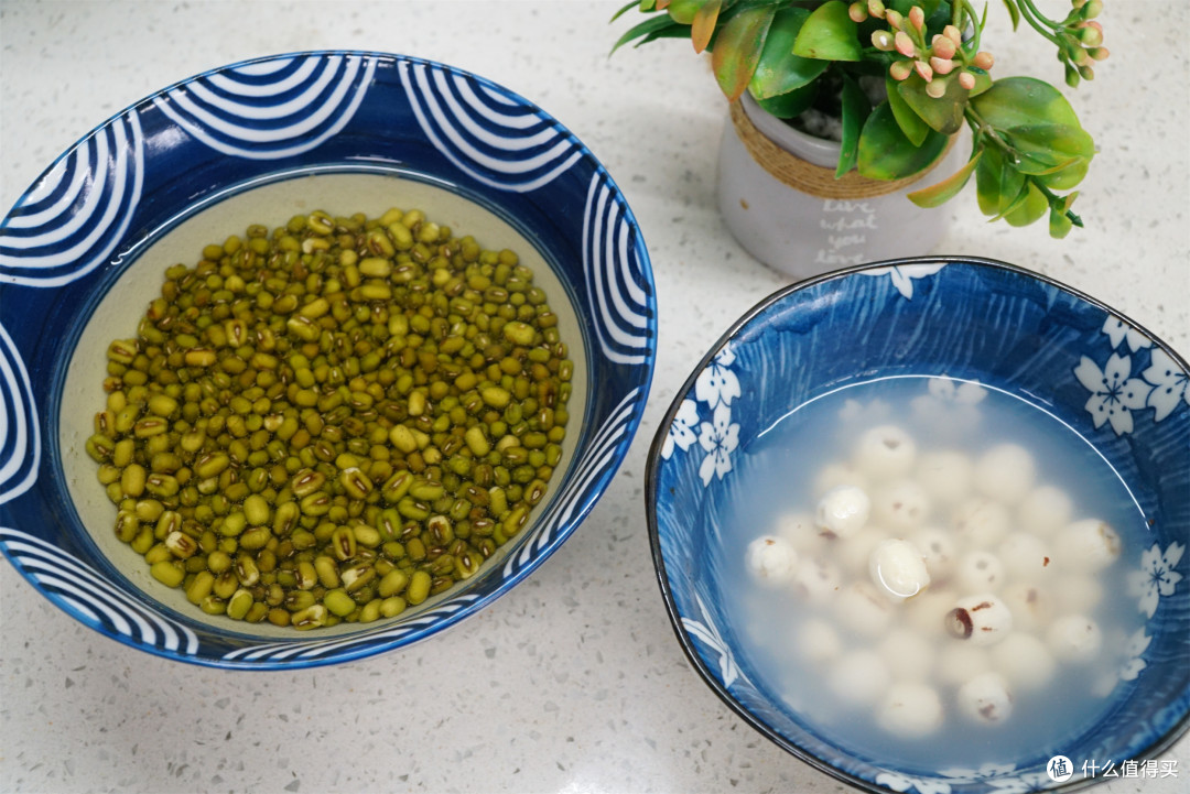 三伏天，绿豆和排骨是绝配，广东靓汤照着做，清热去火舒服过夏
