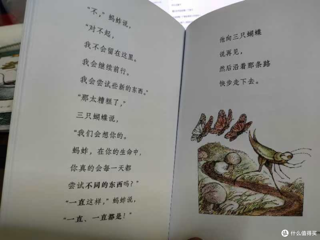 哲思启蒙绘本《猫头鹰的眼泪茶》——用最伤心的眼泪,泡让自己开心的茶!