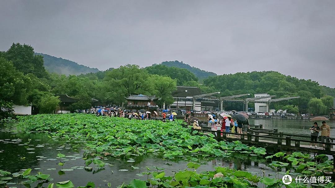 出游随拍，夏日烟雨蒙蒙的西湖美景尽收眼底