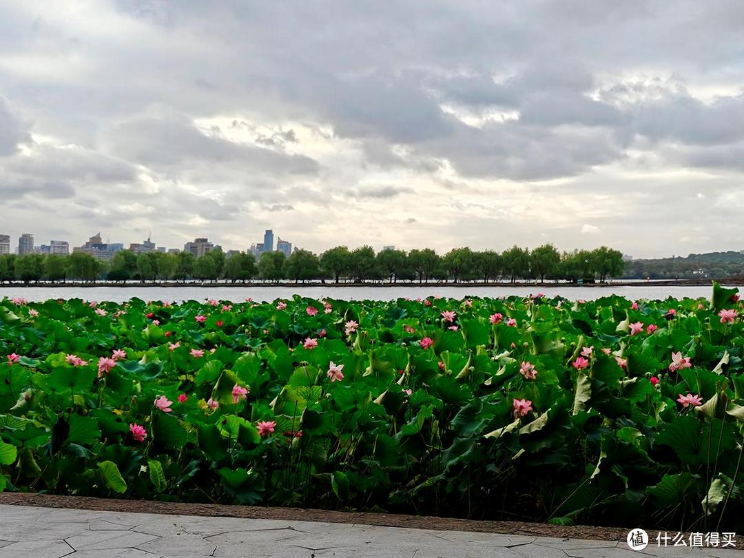 出游随拍，夏日烟雨蒙蒙的西湖美景尽收眼底