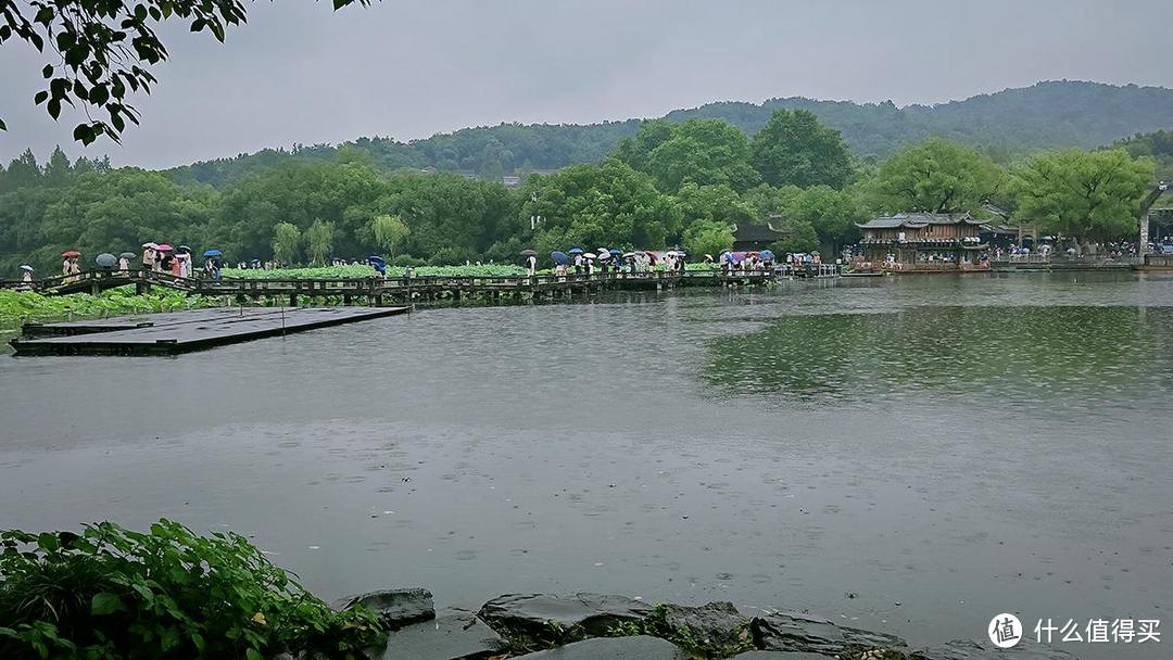 出游随拍，夏日烟雨蒙蒙的西湖美景尽收眼底